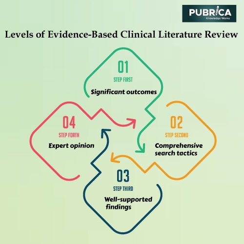 write the evidence the literature review
