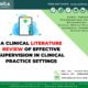 clinical litertature review supervisor in clinical practice setting