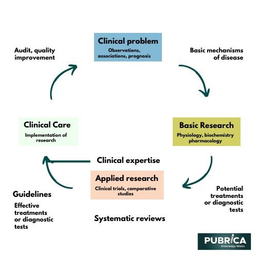 systematic reviews importance in nursing