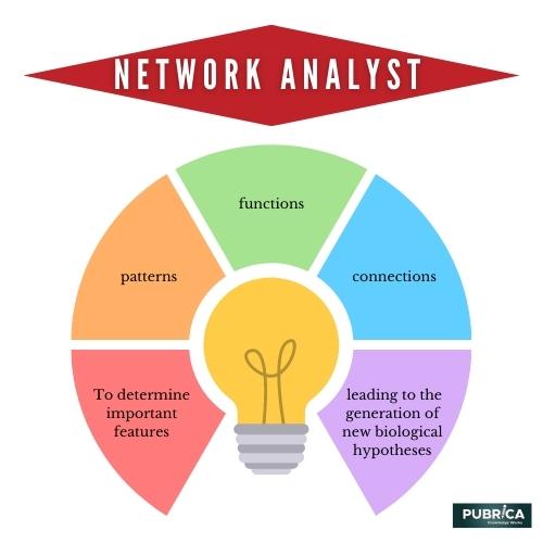 Network Analyst