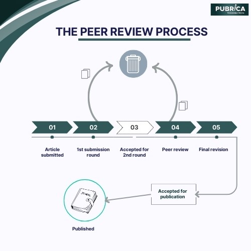 THE PERR REVIEW PROCESS