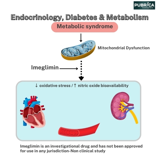 metabolism