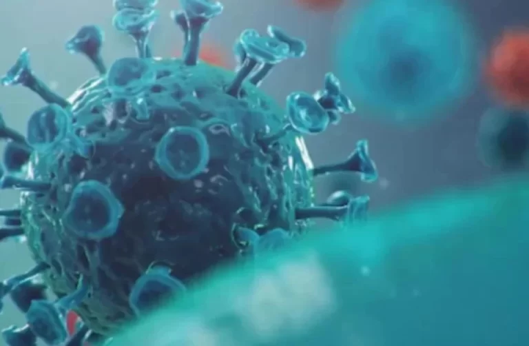 Recent cancer casereport