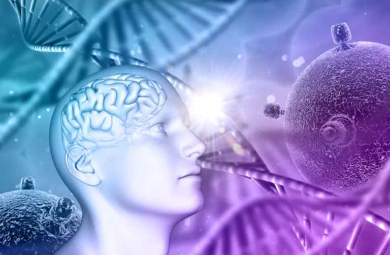 Explore the Link Between Biological Factors and the Brain Across Life