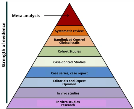 Case Studies in Medical Education