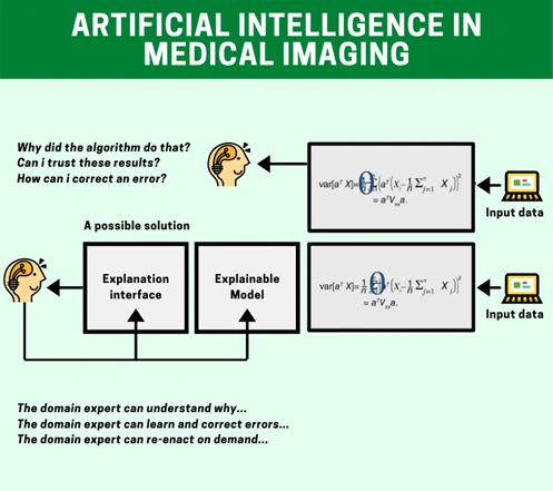 A systematic review of artificial intelligence in imaging