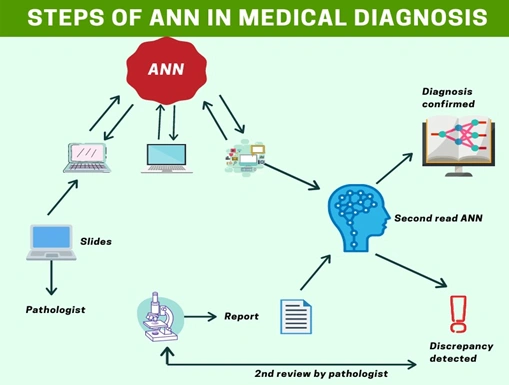 Fundamental steps in artificial neural networks-based medical diagnosis