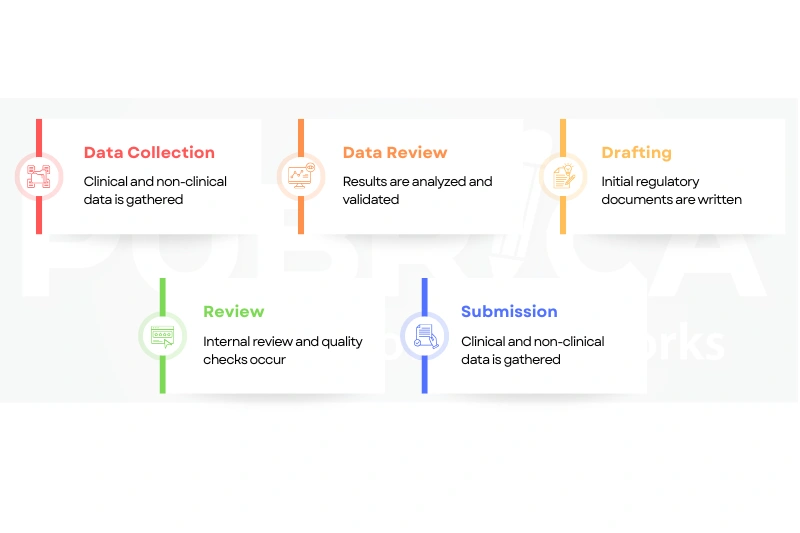 Understanding Regulatory Writing From Research Data to Submission-recreation image