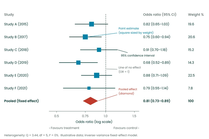 Forest plot explained
