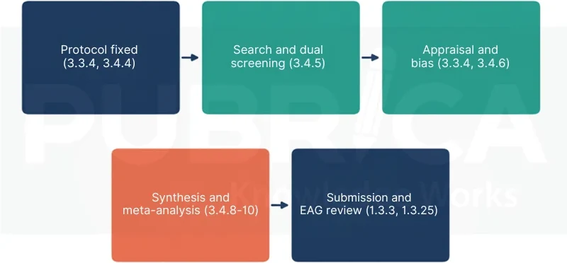 Flow from protocol to search, appraisal, synthesis and EAG review with NICE manual section numbers