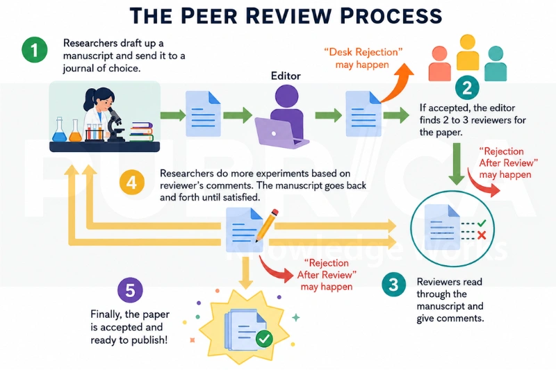 Manuscript publication support