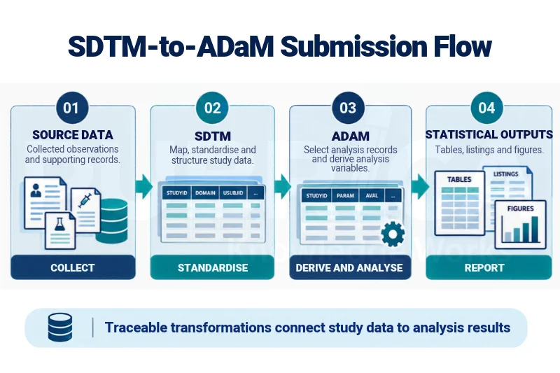 what is SDTM
