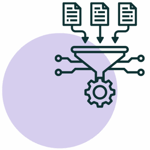 Data Management & Preparation