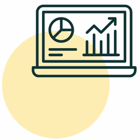 Data Visualization & Reporting