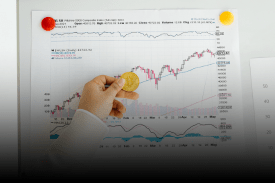 Investors & Stakeholders