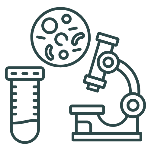 Technical & Scientific Translation