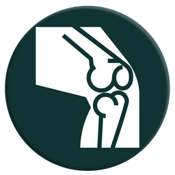 Orthopaedics icon