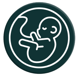 Obstetrics and Gynaecology