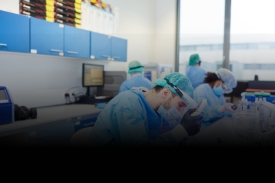 Pharmaceutical and Biotechnology Companies