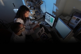 Early-Career Researchers and Medical Interns
