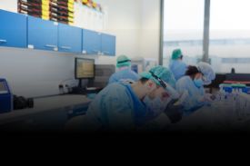 Pharmaceutical & Biotech Companies