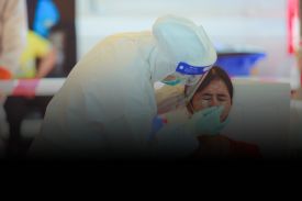 Public Health Authorities & NGOs