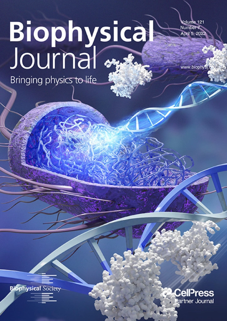 Advanced Materials Journal Cover