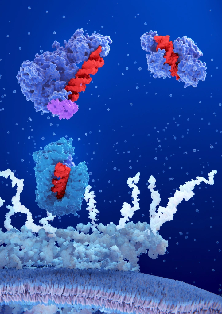 Applications of Enzymes Research