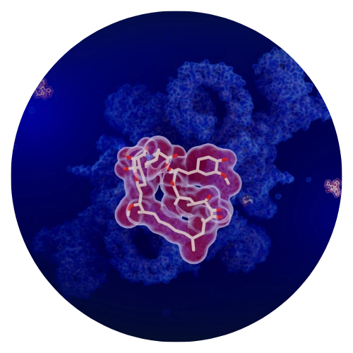 Enzyme research molecular visualization