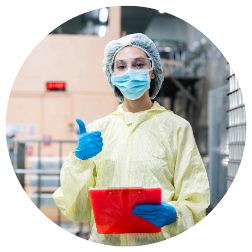 Food processing research visualization