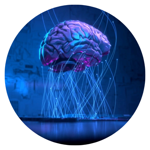 Neuroscience research visualization