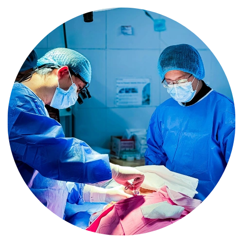 Surgical Science and Clinical Research