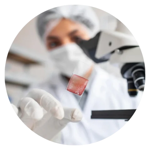 Tissue Engineering Research