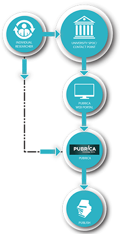 Pubrica WORKFLOW CHART