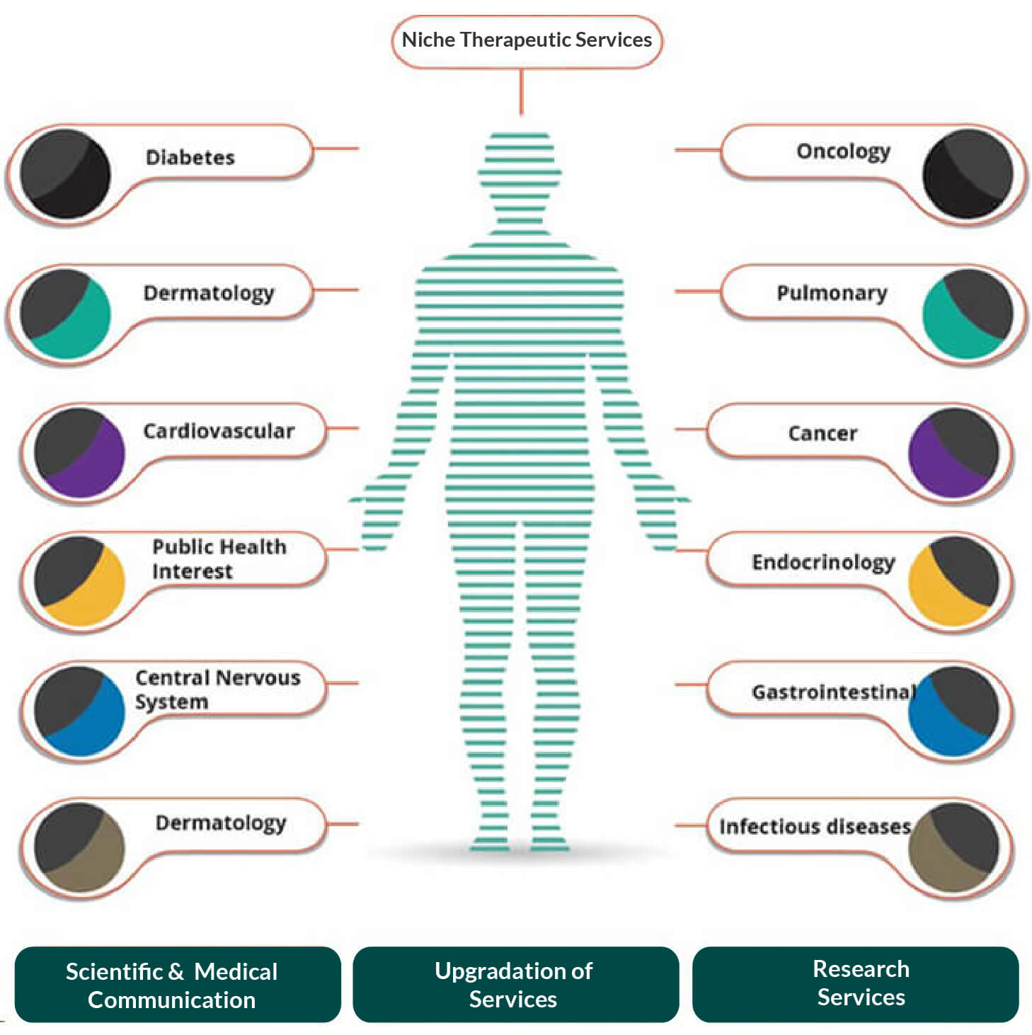 clinical research therapeutic areas