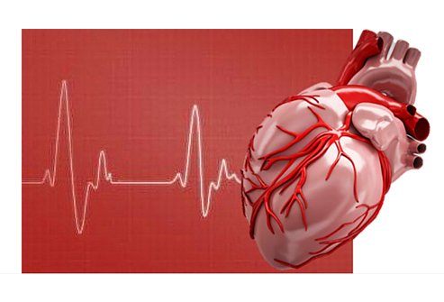 Cardiovascular and other disease biology