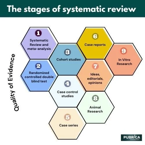 Systematic Review Writing Services