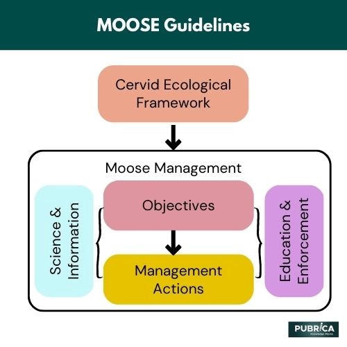 Moose Guidelines