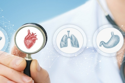 Cardiovascular Biology