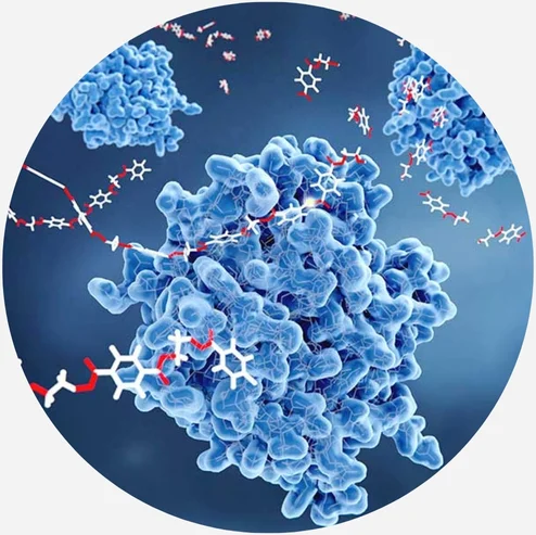 Enzymes