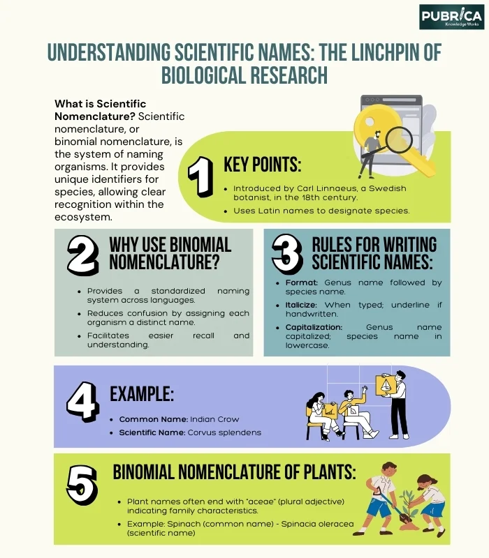 Understanding Scientific Names The Linchpin of Biological Research