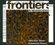 Frontiers of neuro science