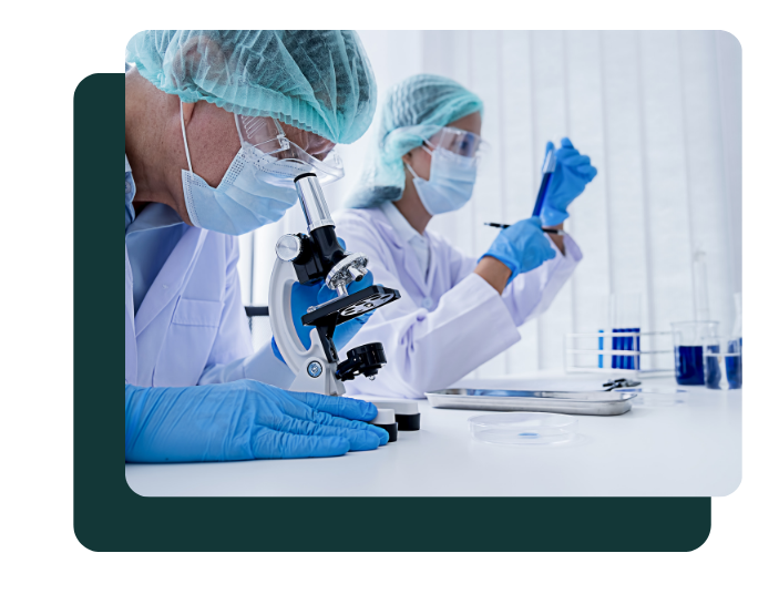 Discovery and Intelligence Research Services for Product Development