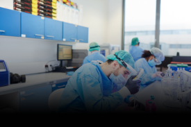 Animated Card Hover Effect Html & CSS