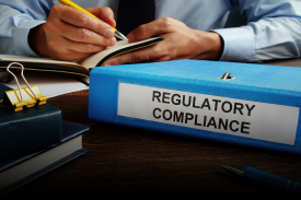 Animated Card Hover Effect Html & CSS