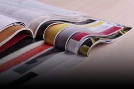 Animated Card Hover Effect Html & CSS