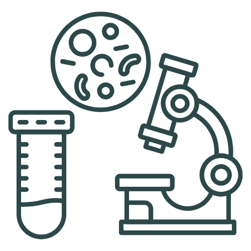 Technical & Scientific Translation