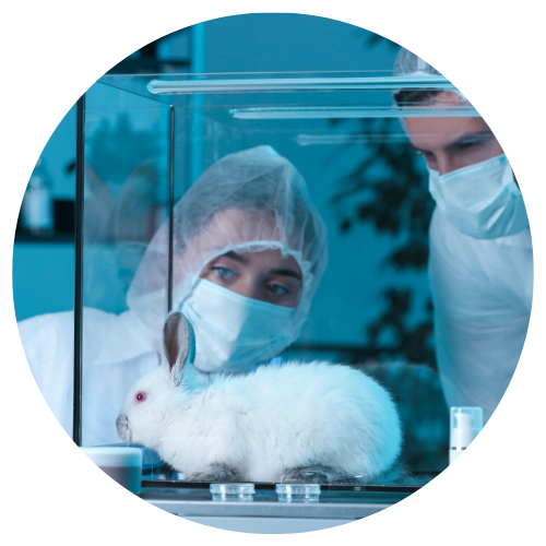 Empowering Research Excellence in Animal Science through Expert Guidance
