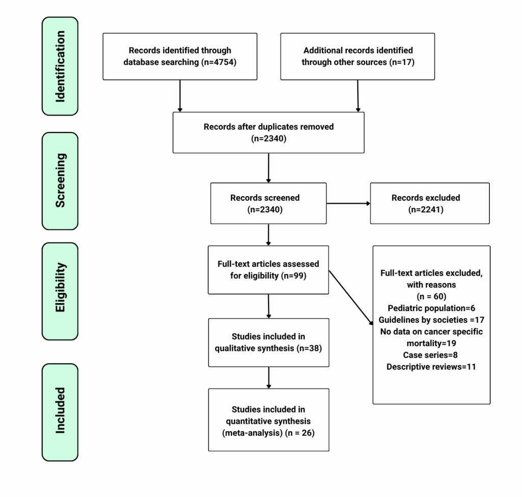 v1-Systematic Literature Review Vs. Meta-Analysis Understanding Evidence Synthesis-pp- recreation image