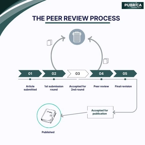 THE-PERR-REVIEW-PROCESS